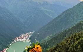 Yesil Kosk Hotel